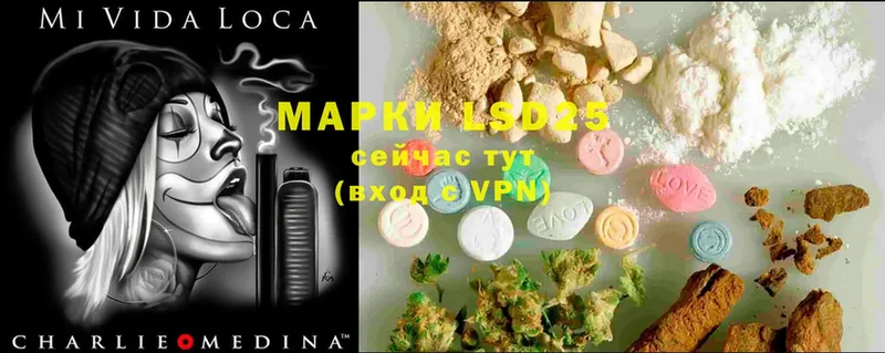 кракен сайт  Кудрово  Лсд 25 экстази ecstasy 